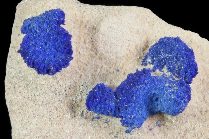 Brilliant Blue Azurite Sun Cluster On Rock - Australia #82672